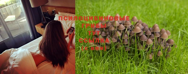 каннабис Пересвет