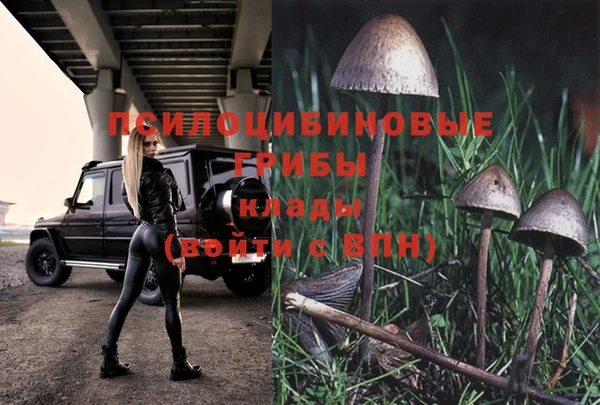 марки nbome Тайга