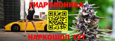 стаф Балаково