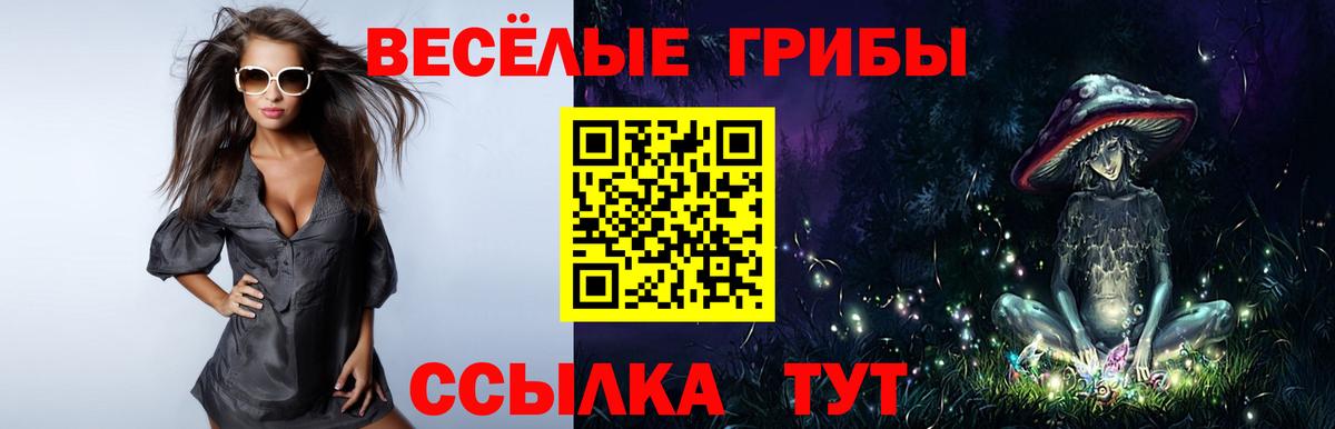 Галлюциногенные грибы мухоморы Великий Устюг